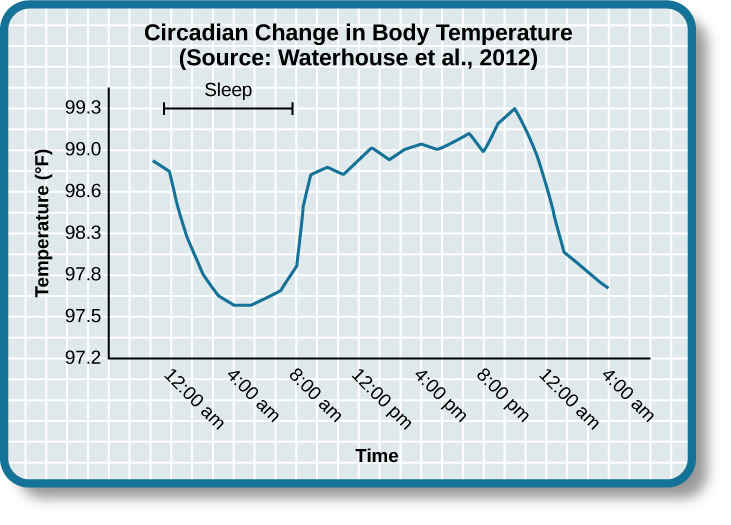 A photograph shows a line graph titled “Circadian Change in Body Temperature