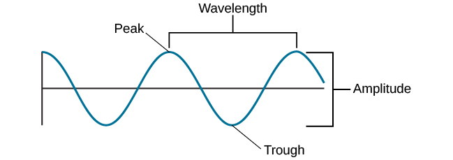 A diagram illustrates the basic parts of a wave. Moving from left to right, the wavelength line begins above a straight horizontal line and falls and rises equally above and below that line. One of the areas where the wavelength line reaches its highest point is labelled “Peak.” A horizontal bracket, labelled “Wavelength,” extends from this area to the next peak. One of the areas where the wavelength reaches its lowest point is labelled “Trough.” A vertical bracket, labelled “Amplitude,” extends from a “Peak” to a “Trough.”