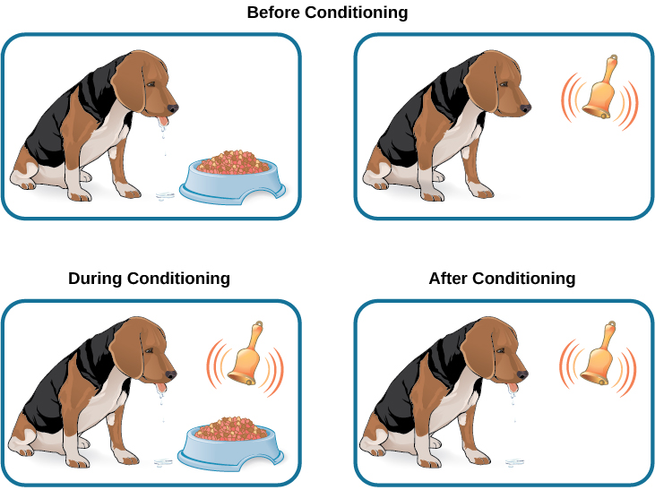 Two illustrations of Classical Conditioning