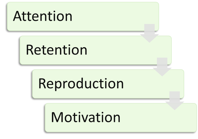An illustration of the Steps of Observational learning