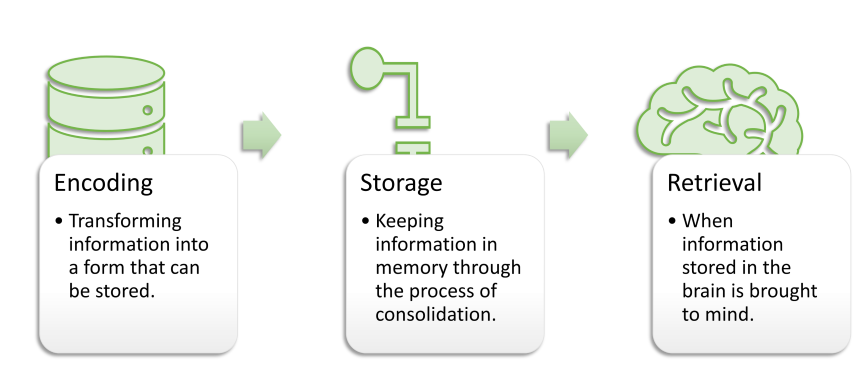 A diagram shows three boxes, placed in a row from left to right, respectively titled “Encoding,” “Storage,” and “Retrieval.”