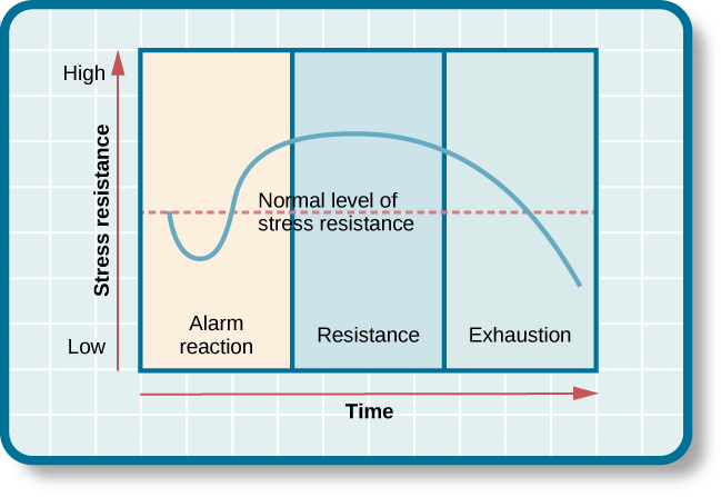 A graph shows the three stages of Selye’s general adaption syndrome: alarm reaction, resistance, and exhaustion. The x-axis represents time while the y-axis represents stress levels. The x-axis is labeled “Time” and the y-axis is labeled “Stress resistance.” The graph shows that an increase in time and stress ultimately leads to exhaustion.